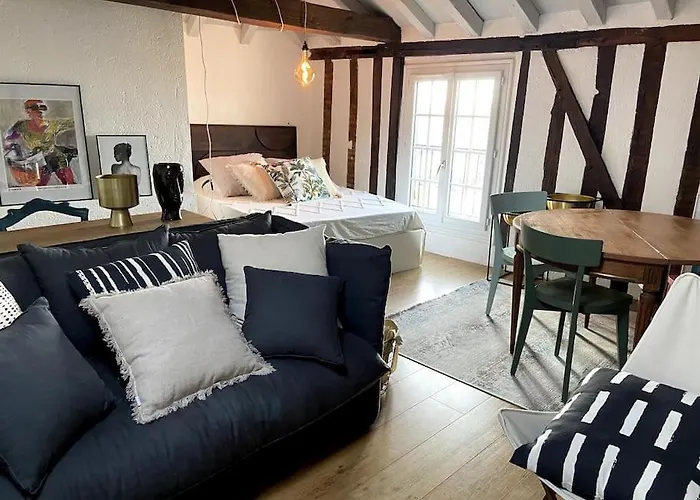 Appartement Dans Le Vieux Mans