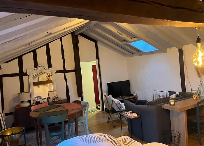 Appartement Dans Le Vieux Mans